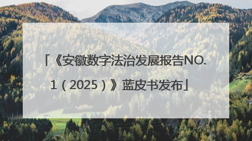 《安徽数字法治发展报告NO.1（2025）》蓝皮书发布