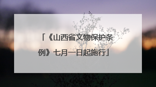 《山西省文物保护条例》七月一日起施行