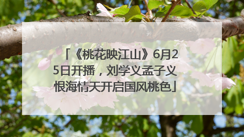 《桃花映江山》6月25日开播，刘学义孟子义恨海情天开启国风桃色