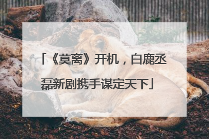 《莫离》开机，白鹿丞磊新剧携手谋定天下