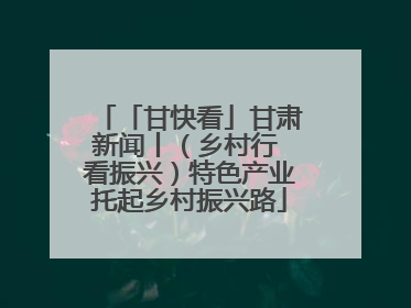 「甘快看」甘肃新闻丨（乡村行 看振兴）特色产业托起乡村振兴路