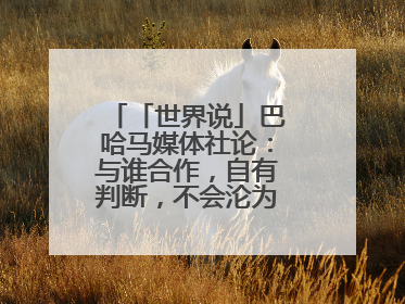 「世界说」巴哈马媒体社论：与谁合作，自有判断，不会沦为“权力游戏”