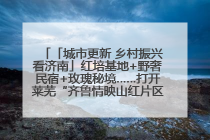 「城市更新 乡村振兴看济南」红培基地+野奢民宿+玫瑰秘境……打开莱芜“齐鲁情映山红片区”的破圈秘籍