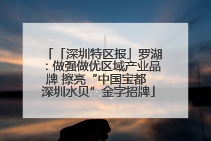 「深圳特区报」罗湖：做强做优区域产业品牌 擦亮“中国宝都 深圳水贝”金字招牌