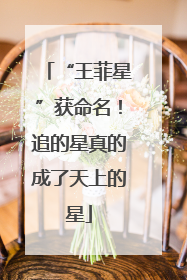 “王菲星”获命名！追的星真的成了天上的星