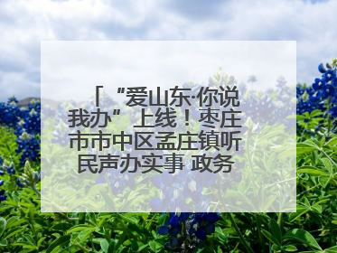 “爱山东·你说我办”上线！枣庄市市中区孟庄镇听民声办实事 政务服务暖心升级