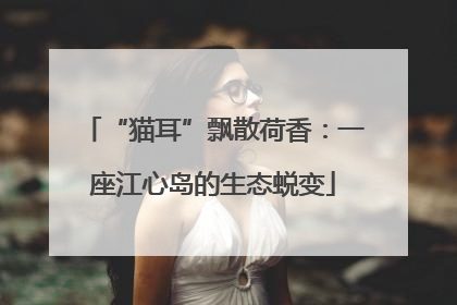 “猫耳”飘散荷香：一座江心岛的生态蜕变