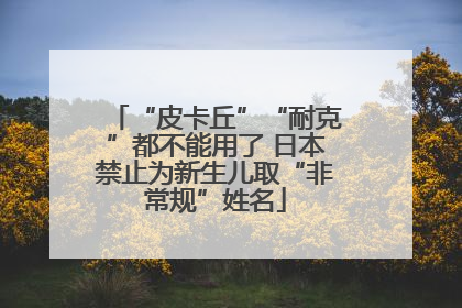 “皮卡丘”“耐克”都不能用了 日本禁止为新生儿取“非常规”姓名