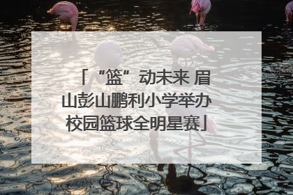 “篮”动未来 眉山彭山鹏利小学举办校园篮球全明星赛