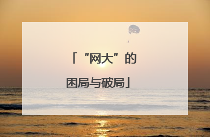“网大”的困局与破局