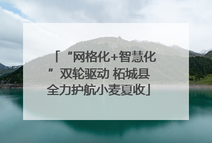 “网格化+智慧化”双轮驱动 柘城县全力护航小麦夏收