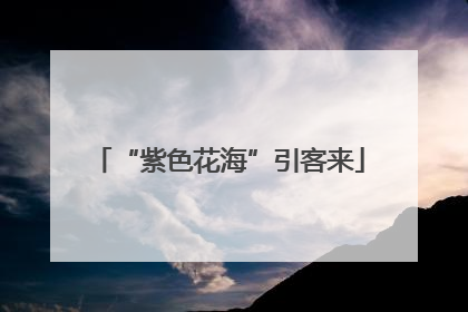 “紫色花海”引客来