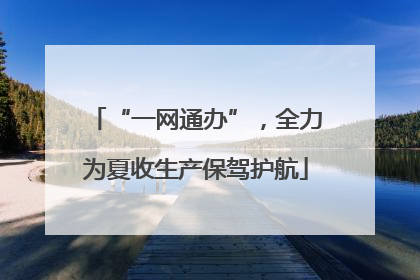 “一网通办”，全力为夏收生产保驾护航
