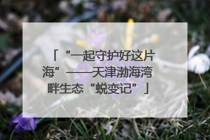 “一起守护好这片海”——天津渤海湾畔生态“蜕变记”