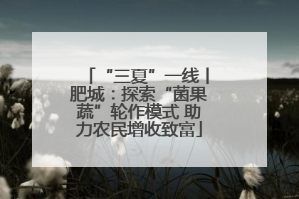 “三夏”一线丨肥城：探索“菌果蔬”轮作模式 助力农民增收致富