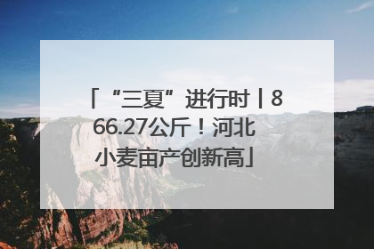 “三夏”进行时丨866.27公斤！河北小麦亩产创新高