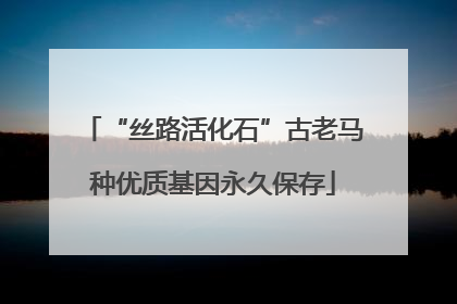 “丝路活化石”古老马种优质基因永久保存
