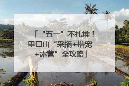 “五一”不扎堆！里口山“采摘+撸宠+露营”全攻略