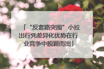 “反套路突围”小拉出行凭差异化优势在行业竞争中脱颖而出