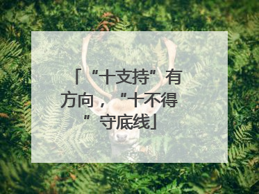 “十支持”有方向，“十不得”守底线