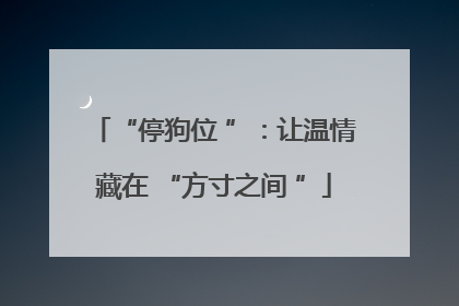 “停狗位 ”：让温情藏在 “方寸之间 ”