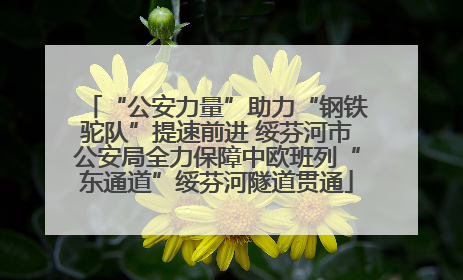 “公安力量”助力“钢铁驼队”提速前进 绥芬河市公安局全力保障中欧班列“东通道”绥芬河隧道贯通