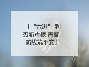 “六进” 利刃斩毒根 青春防线筑平安