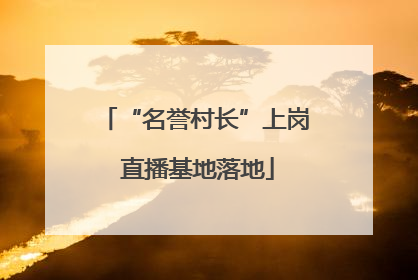 “名誉村长”上岗 直播基地落地