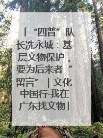 “四普”队长冼永城：基层文物保护，要为后来者“留言”｜文化中国行·我在广东找文物
