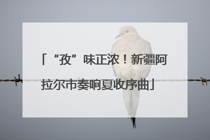 “孜”味正浓！新疆阿拉尔市奏响夏收序曲