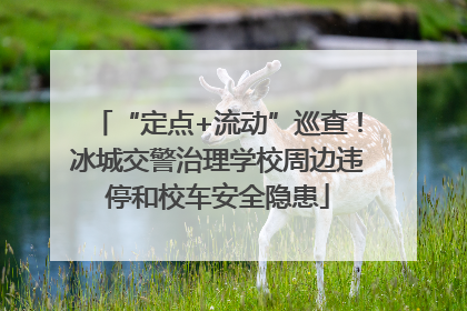 “定点+流动”巡查！冰城交警治理学校周边违停和校车安全隐患