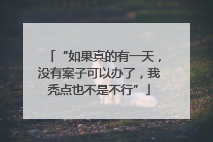 “如果真的有一天，没有案子可以办了，我秃点也不是不行”