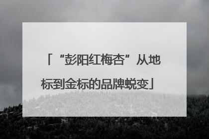 “彭阳红梅杏”从地标到金标的品牌蜕变