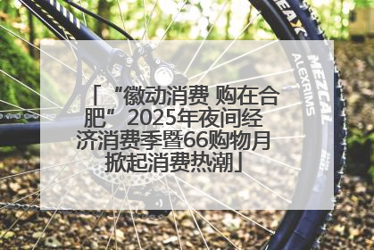 “徽动消费 购在合肥”2025年夜间经济消费季暨66购物月掀起消费热潮