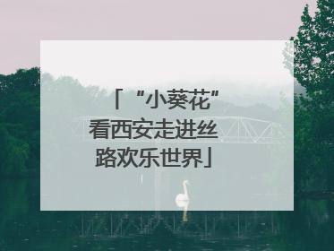 “小葵花”看西安走进丝路欢乐世界
