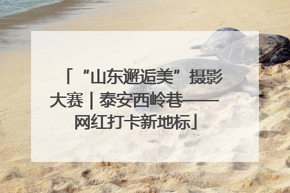 “山东邂逅美”摄影大赛｜泰安西岭巷——网红打卡新地标