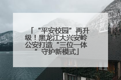“平安校园”再升级！黑龙江大兴安岭公安打造“三位一体”守护新模式