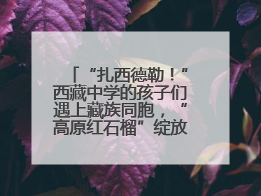 “扎西德勒！”西藏中学的孩子们遇上藏族同胞，“高原红石榴”绽放荆楚大地
