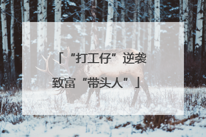 “打工仔”逆袭致富“带头人”