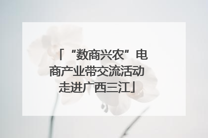 “数商兴农”电商产业带交流活动走进广西三江