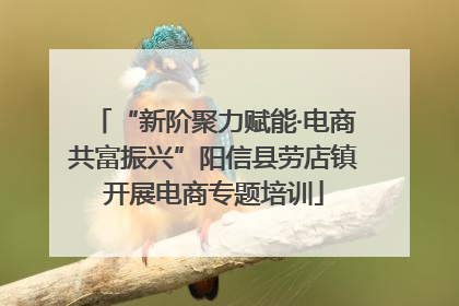 “新阶聚力赋能·电商共富振兴”阳信县劳店镇开展电商专题培训