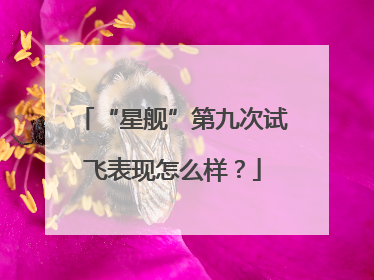“星舰”第九次试飞表现怎么样？
