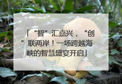 “智”汇嘉兴，“创”联两岸！一场跨越海峡的智慧盛宴开启