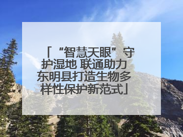 “智慧天眼”守护湿地 联通助力东明县打造生物多样性保护新范式