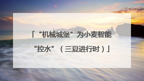 “机械城堡”为小麦智能“控水”（三夏进行时）