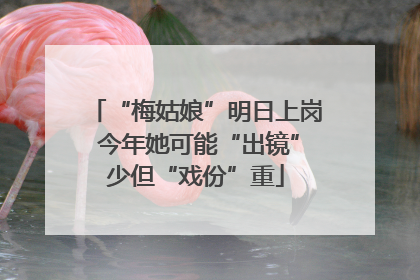 “梅姑娘”明日上岗 今年她可能“出镜”少但“戏份”重