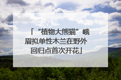 “植物大熊猫”峨眉拟单性木兰在野外回归点首次开花