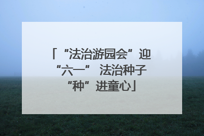 “法治游园会”迎“六一” 法治种子“种”进童心