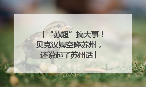 “苏超”搞大事！贝克汉姆空降苏州，还说起了苏州话