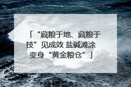 “藏粮于地、藏粮于技”见成效 盐碱滩涂变身“黄金粮仓”